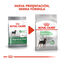 8 kg Royal Canin Digestive Care Mini pienso para perros, , large indicador imagen numero 3